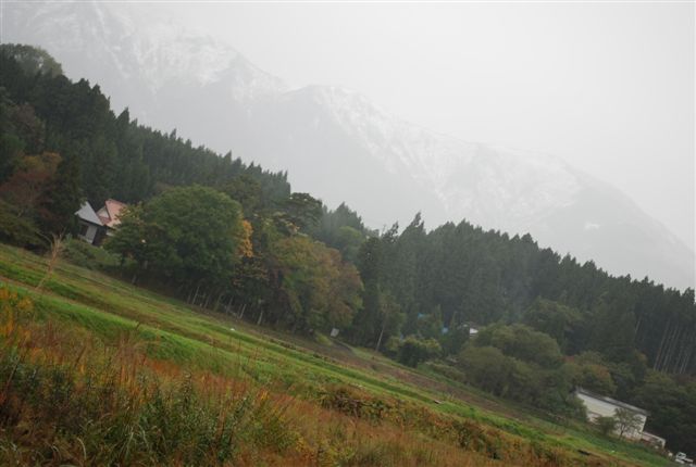 d0164783_2141310.jpg
