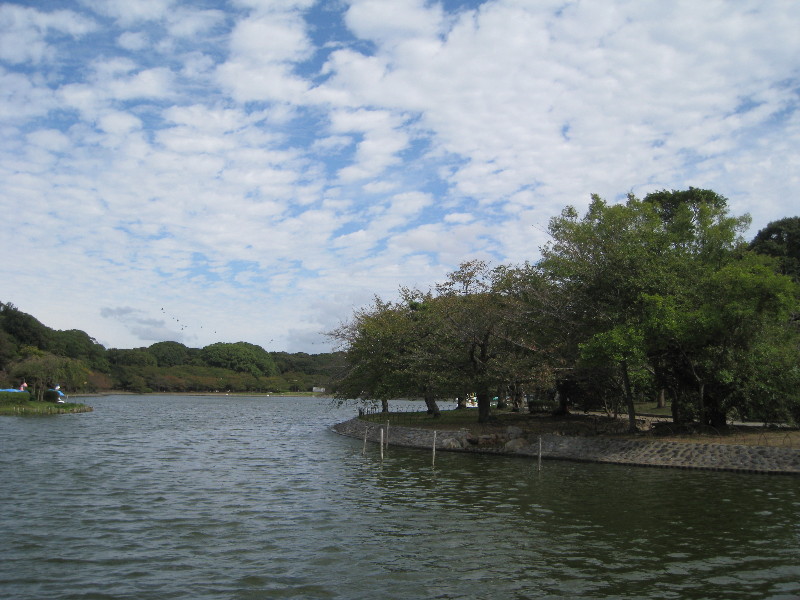 c0132387_1084312.jpg