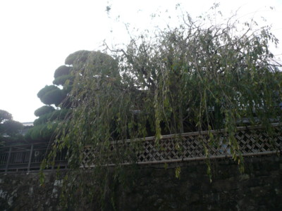 a0147890_10585226.jpg
