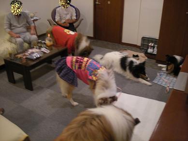 f0081100_1235728.jpg