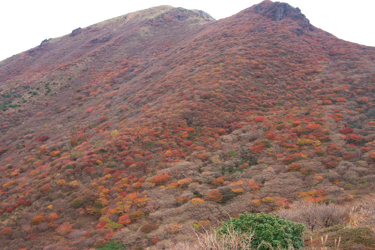f0130601_12525330.jpg