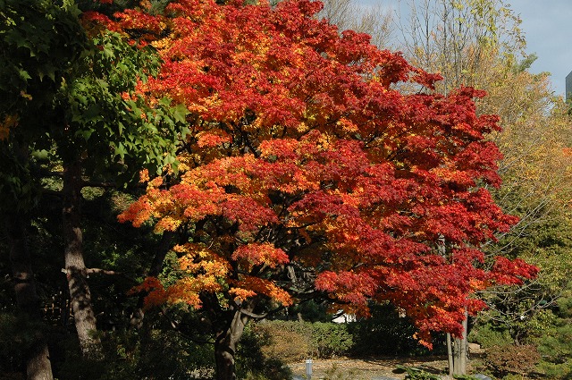 f0157901_233359100.jpg