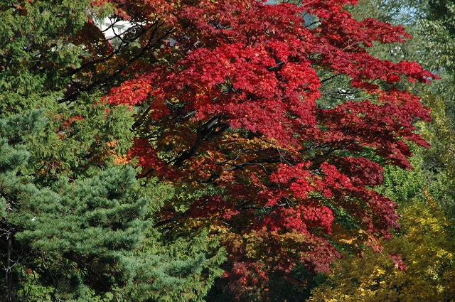 f0157901_233381.jpg
