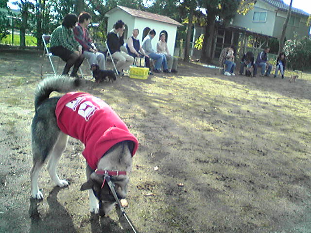 f0079202_16365623.jpg