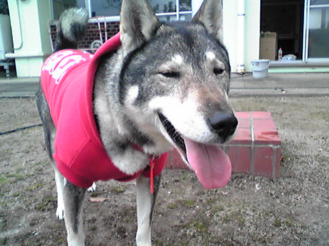 f0079202_16365635.jpg