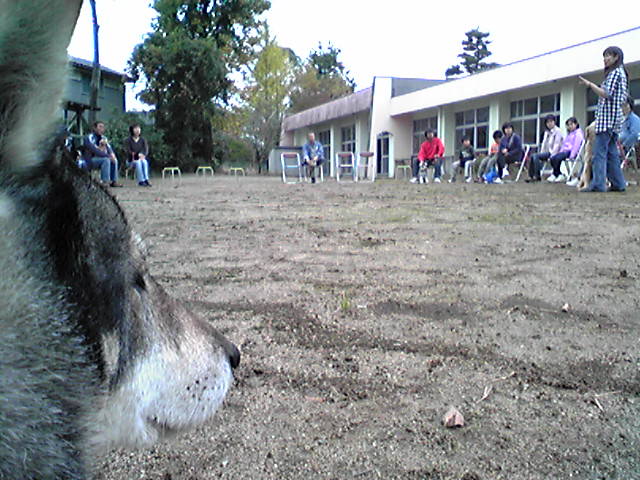 f0079202_16365636.jpg