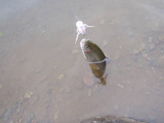 c0023804_22354963.jpg