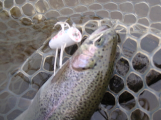 c0023804_22371480.jpg