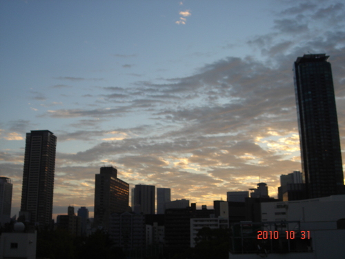 d0154508_845637.jpg
