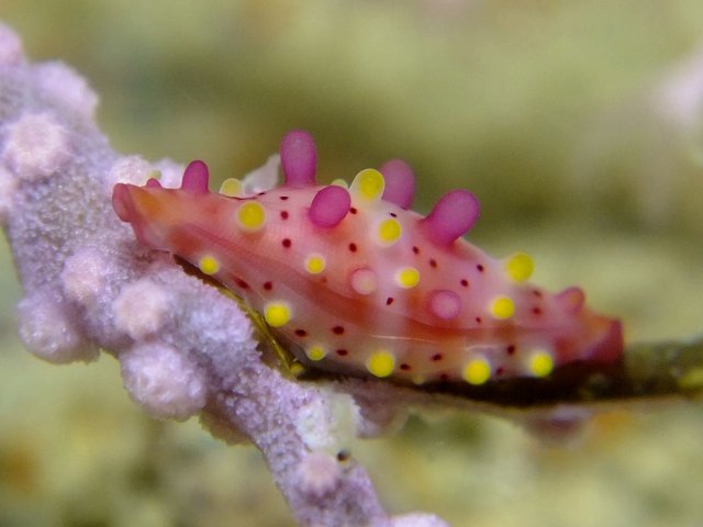 d0175710_20474325.jpg