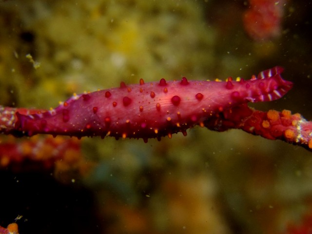 d0175710_2047634.jpg