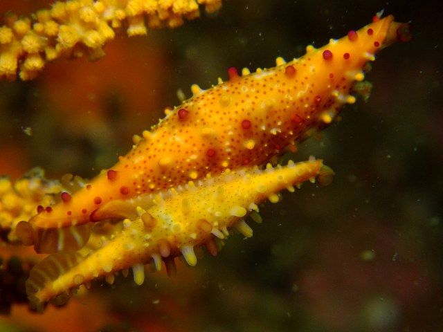 d0175710_20481638.jpg
