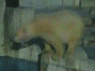 a0151913_1972981.jpg
