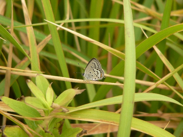 e0002314_20592723.jpg