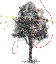 a0111618_16373864.gif