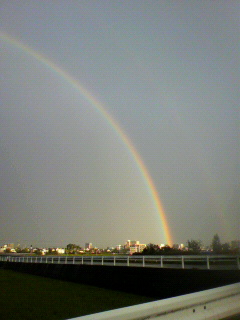 f0036223_8165722.jpg