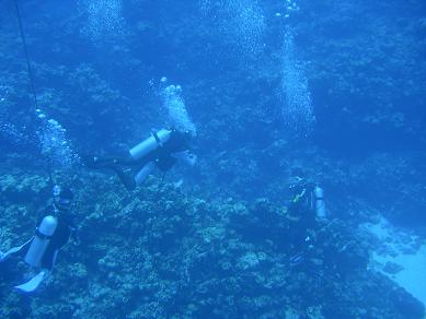 b0129725_10282665.jpg