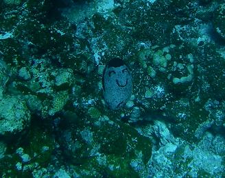 b0129725_10312782.jpg