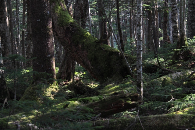 f0217933_22335779.jpg
