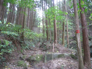 c0077338_22511729.jpg