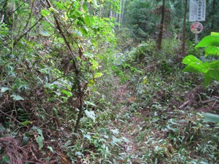 c0077338_22513262.jpg