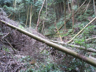 c0077338_22514582.jpg