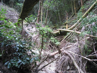 c0077338_2252145.jpg