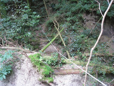 c0077338_22521638.jpg