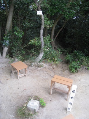 c0077338_22523080.jpg