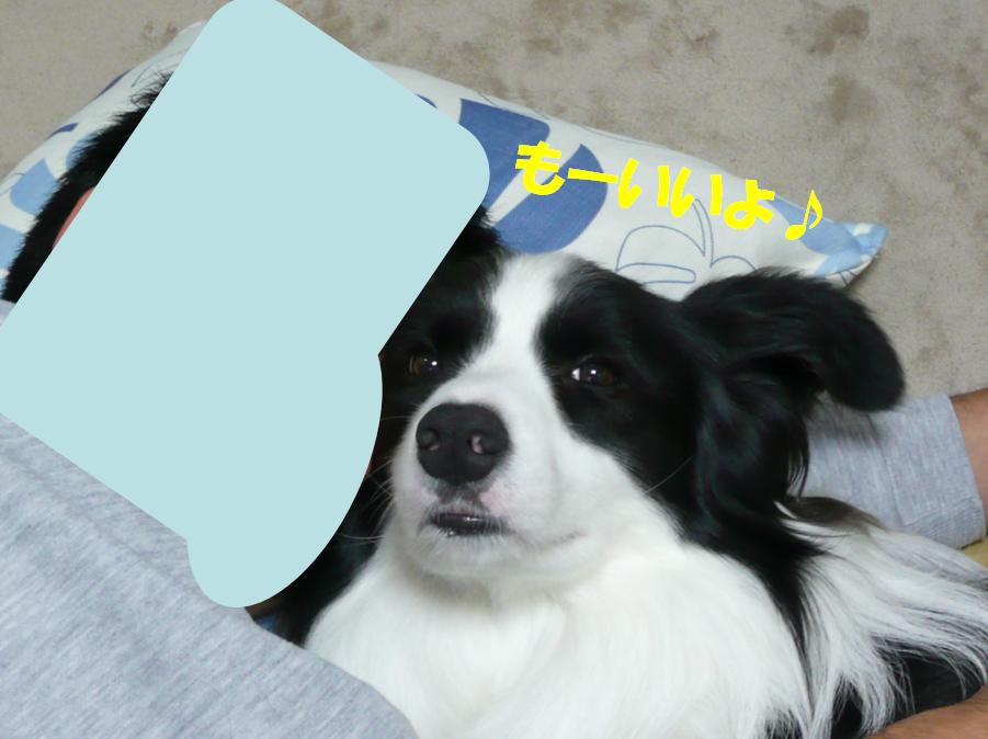 c0147241_19115123.jpg