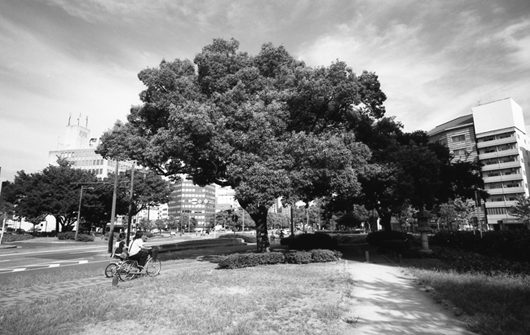 f0055649_1638312.jpg