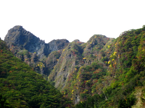 c0179351_21404046.jpg