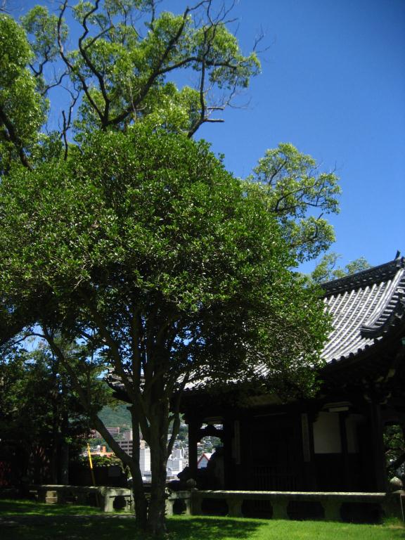 e0121753_2335793.jpg