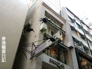 f0190653_8245258.jpg