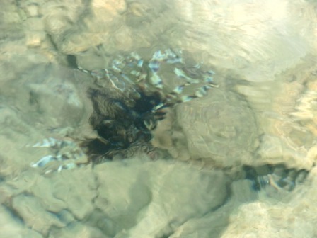 b0173754_23371576.jpg