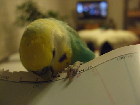 f0149057_0152298.jpg