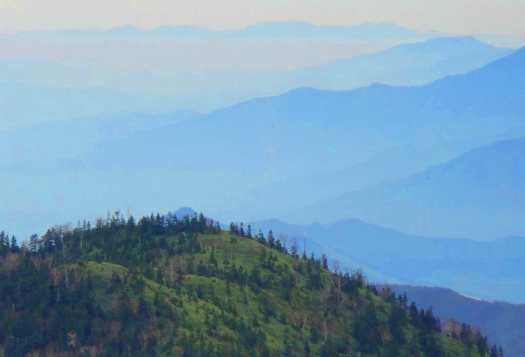 c0119160_12201174.jpg
