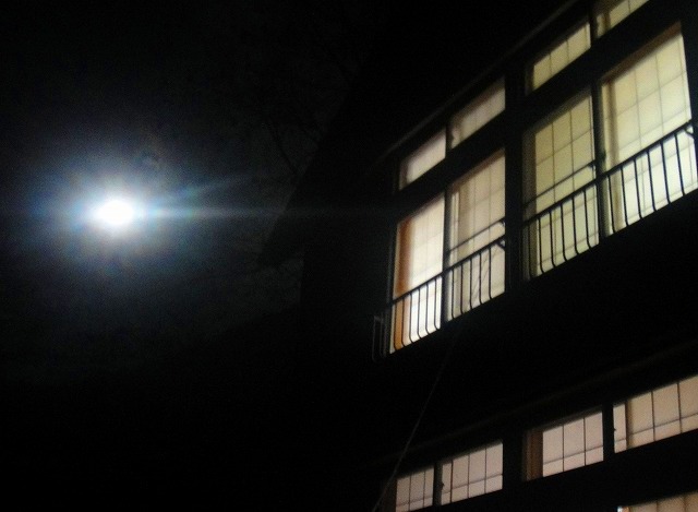 c0119160_1624301.jpg