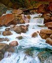 c0119160_18303947.jpg