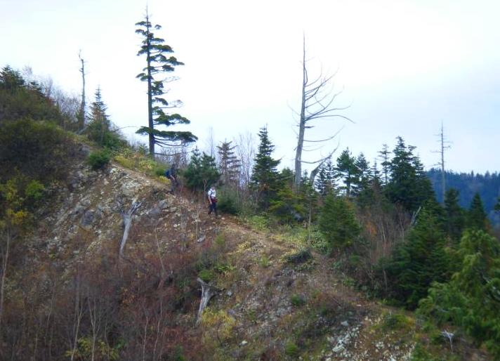 c0119160_18441250.jpg
