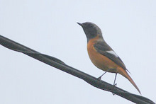 c0183164_21143738.jpg