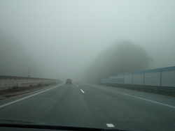 e0195766_726823.jpg