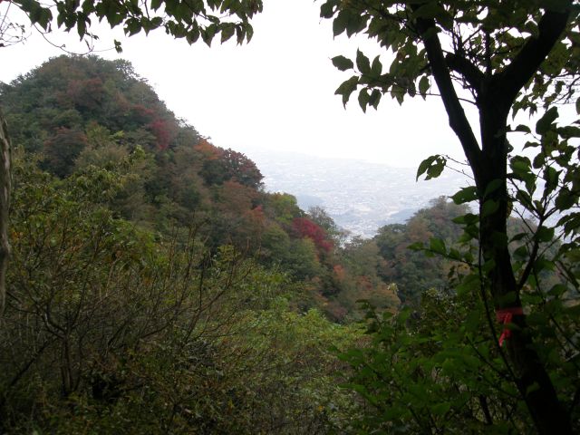 c0042869_19455336.jpg
