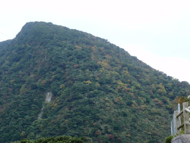 c0042869_19553439.jpg