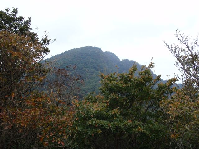 c0042869_20211276.jpg