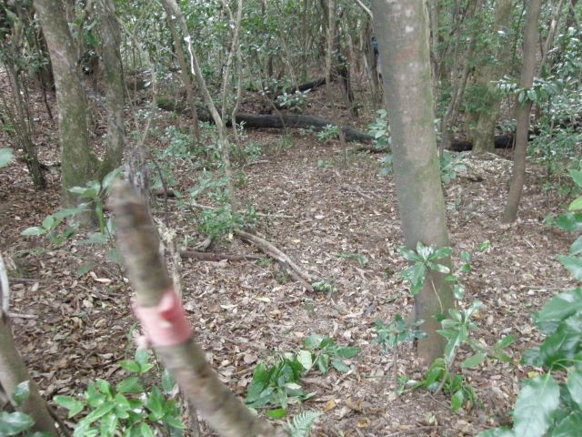 c0042869_2039435.jpg