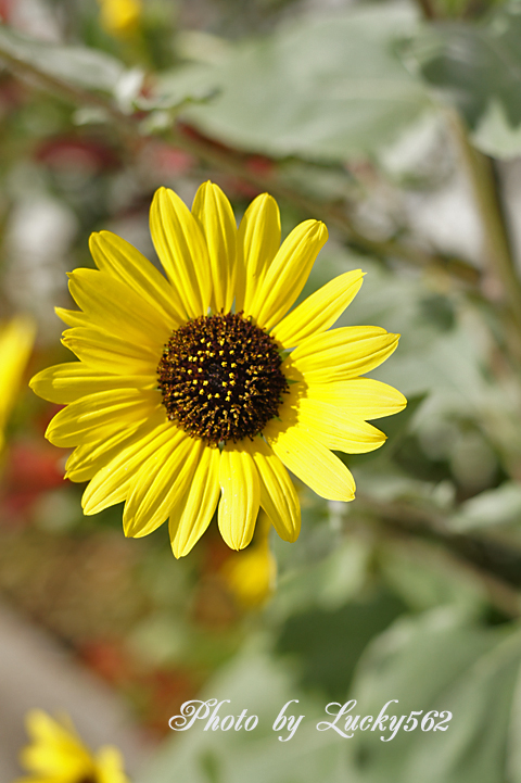 e0002371_021795.jpg