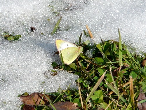 d0084473_20185279.jpg