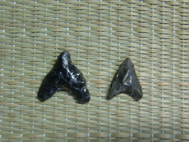f0225473_225142.jpg