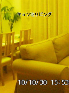 a0116578_6473686.jpg